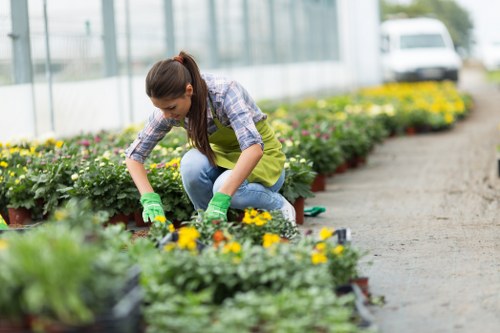 Professional garden clearance team at work in Sutton