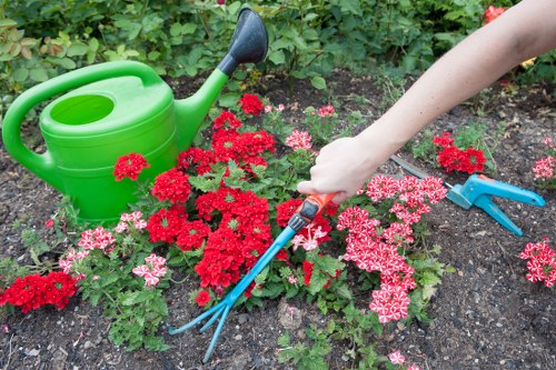 Front view of a local Sutton garden with gardener tools nearby