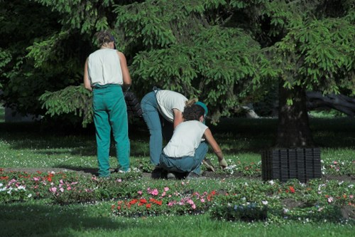 Local garden clearance experts in Sutton