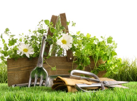 Essential Garden Maintenance Tools for Sutton Gardens
